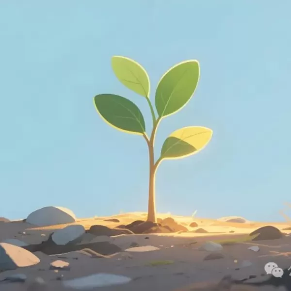 种一棵自己的树